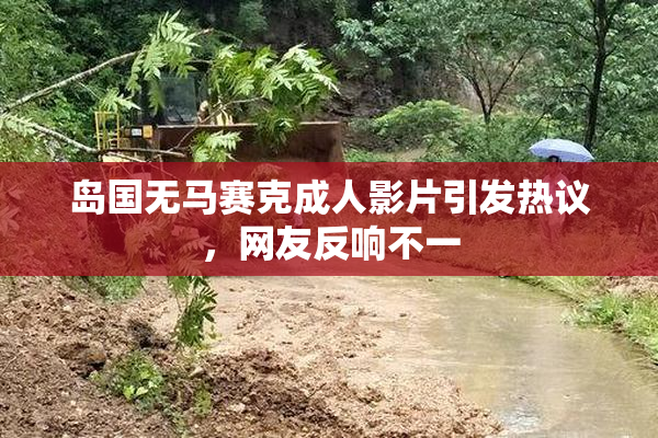 岛国无马赛克成人影片引发热议，网友反响不一