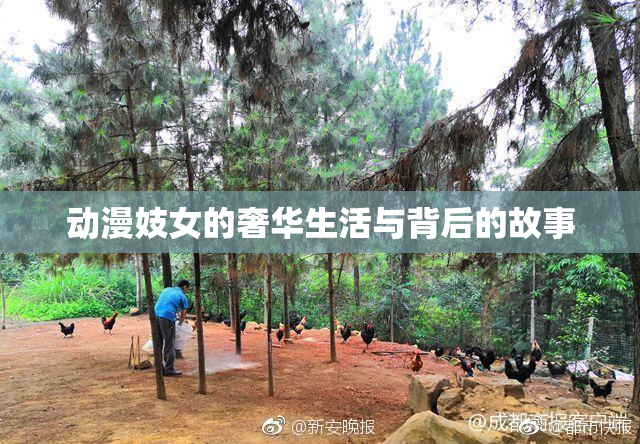 动漫妓女的奢华生活与背后的故事