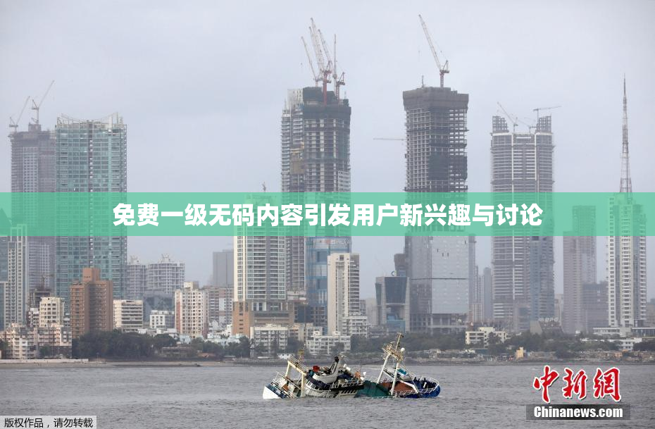 免费一级无码内容引发用户新兴趣与讨论