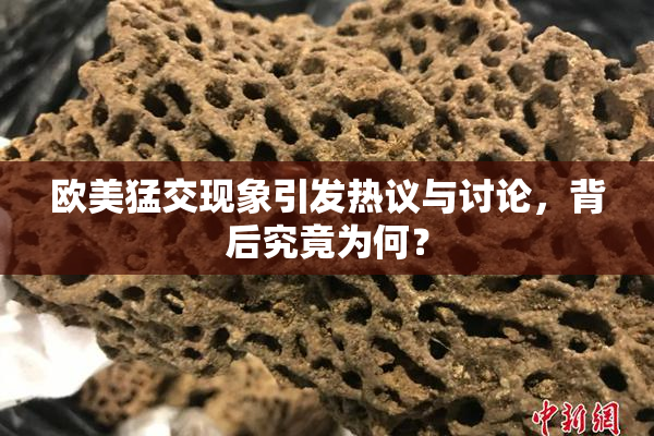 欧美猛交现象引发热议与讨论，背后究竟为何？