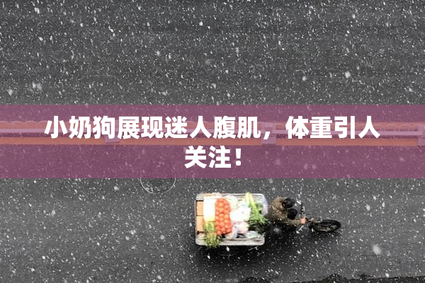 小奶狗展现迷人腹肌，体重引人关注！