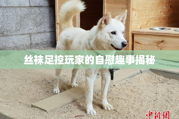 丝袜足控玩家的自慰趣事揭秘