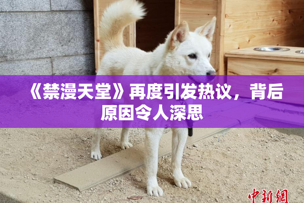 《禁漫天堂》再度引发热议，背后原因令人深思