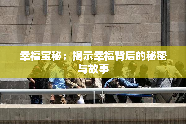 幸福宝秘：揭示幸福背后的秘密与故事