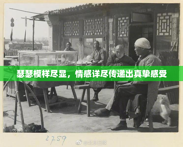 瑟瑟模样尽显，情感详尽传递出真挚感受