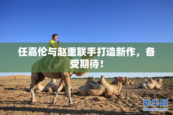 任嘉伦与赵重联手打造新作，备受期待！