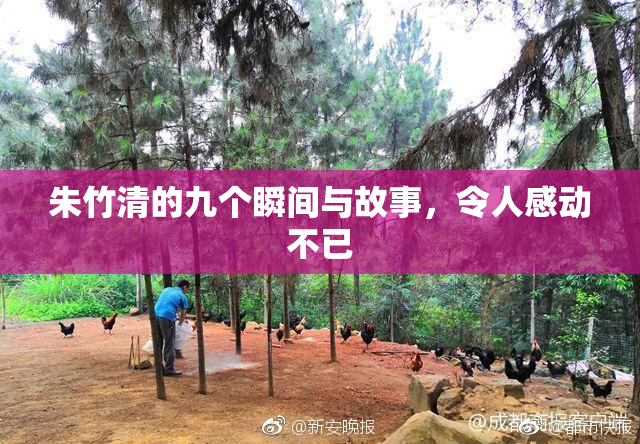 朱竹清的九个瞬间与故事，令人感动不已