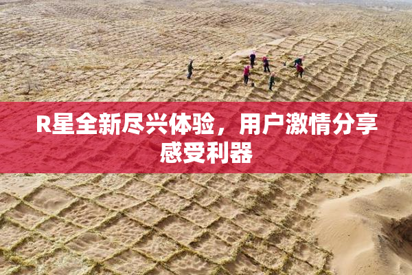 R星全新尽兴体验，用户激情分享感受利器
