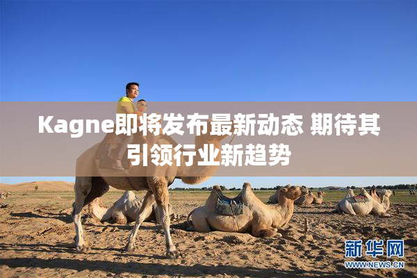 Kagne即将发布最新动态 期待其引领行业新趋势