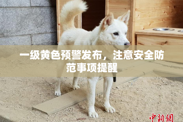 一级黄色预警发布，注意安全防范事项提醒