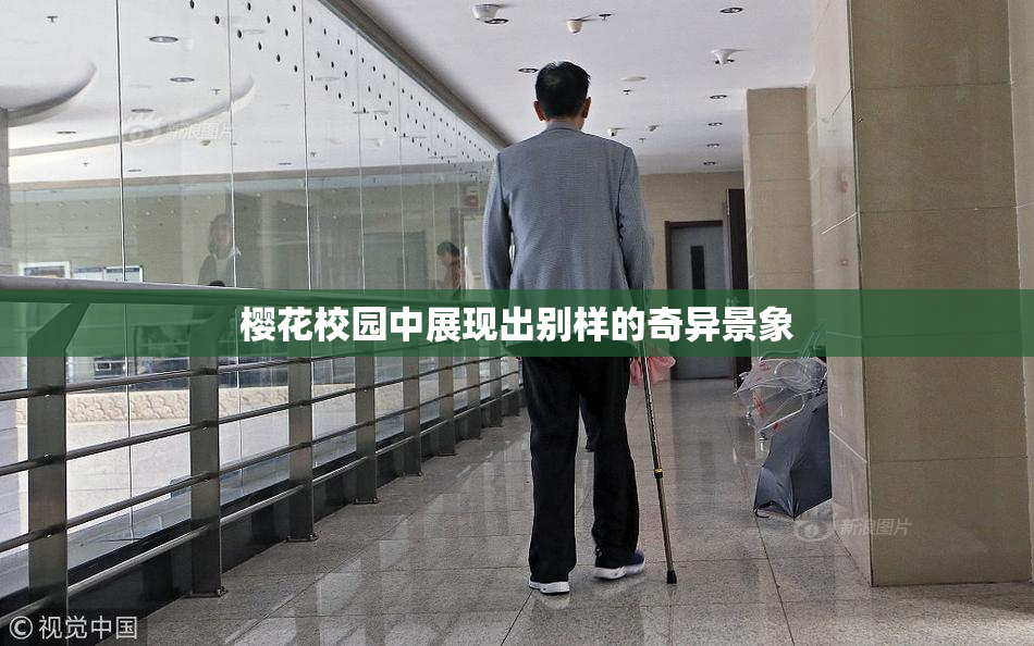 樱花校园中展现出别样的奇异景象