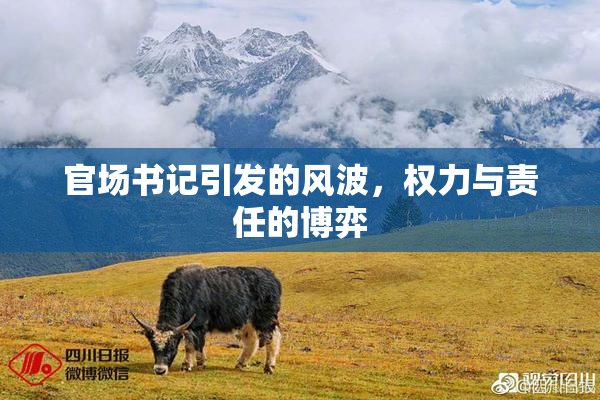 官场书记引发的风波，权力与责任的博弈