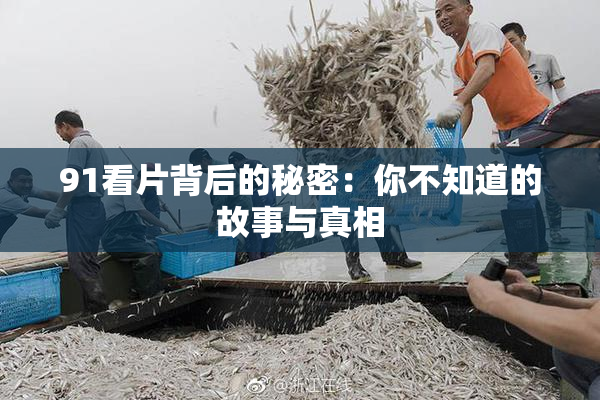 91看片背后的秘密：你不知道的故事与真相