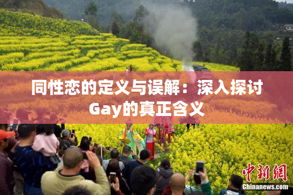 同性恋的定义与误解：深入探讨Gay的真正含义