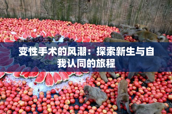 变性手术的风潮：探索新生与自我认同的旅程