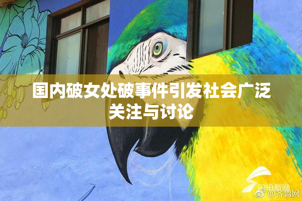 国内破女处破事件引发社会广泛关注与讨论