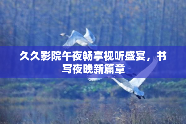 久久影院午夜畅享视听盛宴，书写夜晚新篇章