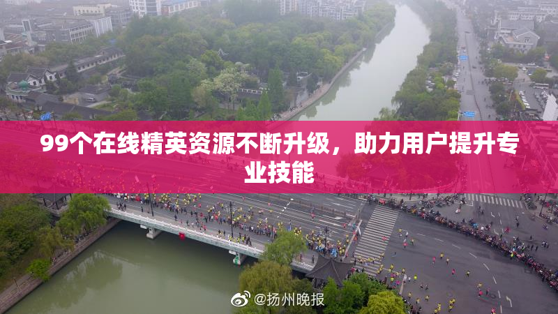 99个在线精英资源不断升级，助力用户提升专业技能