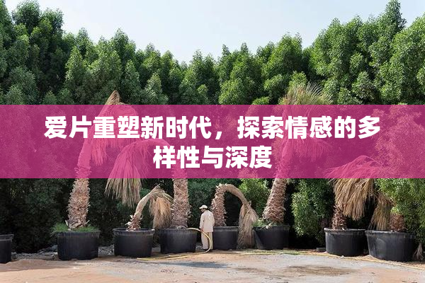 爱片重塑新时代，探索情感的多样性与深度