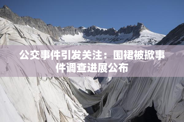 公交事件引发关注：围裙被掀事件调查进展公布