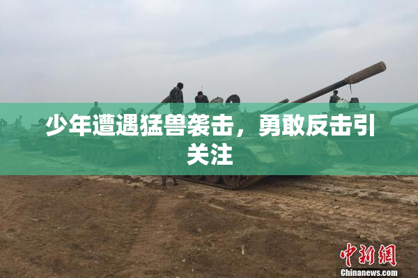 少年遭遇猛兽袭击，勇敢反击引关注