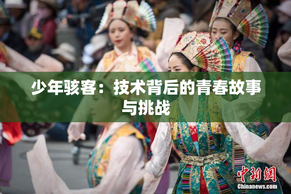 少年骇客：技术背后的青春故事与挑战