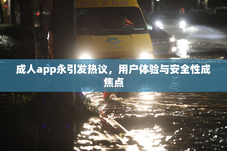 成人app永引发热议，用户体验与安全性成焦点