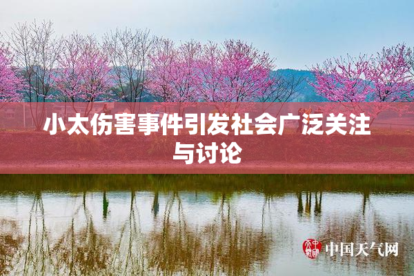 小太伤害事件引发社会广泛关注与讨论