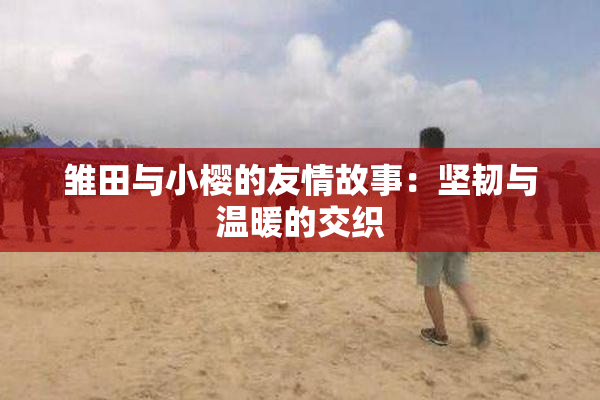 雏田与小樱的友情故事：坚韧与温暖的交织