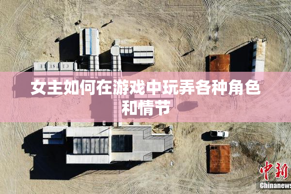 女主如何在游戏中玩弄各种角色和情节