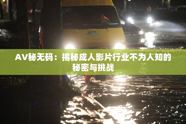 AV秘无码：揭秘成人影片行业不为人知的秘密与挑战