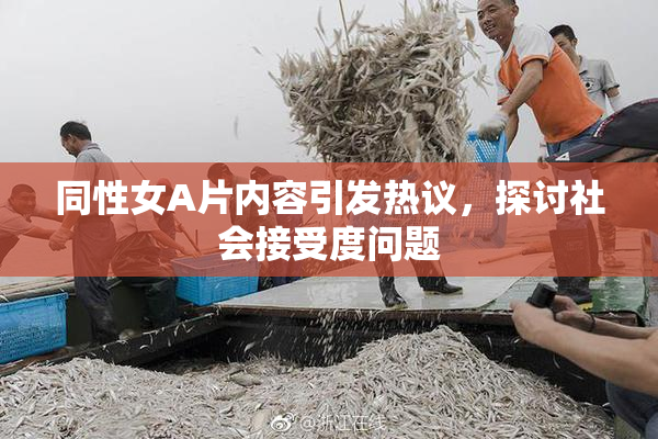 同性女A片内容引发热议，探讨社会接受度问题