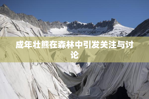 成年壮熊在森林中引发关注与讨论