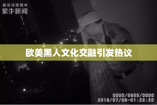 欧美黑人文化交融引发热议
