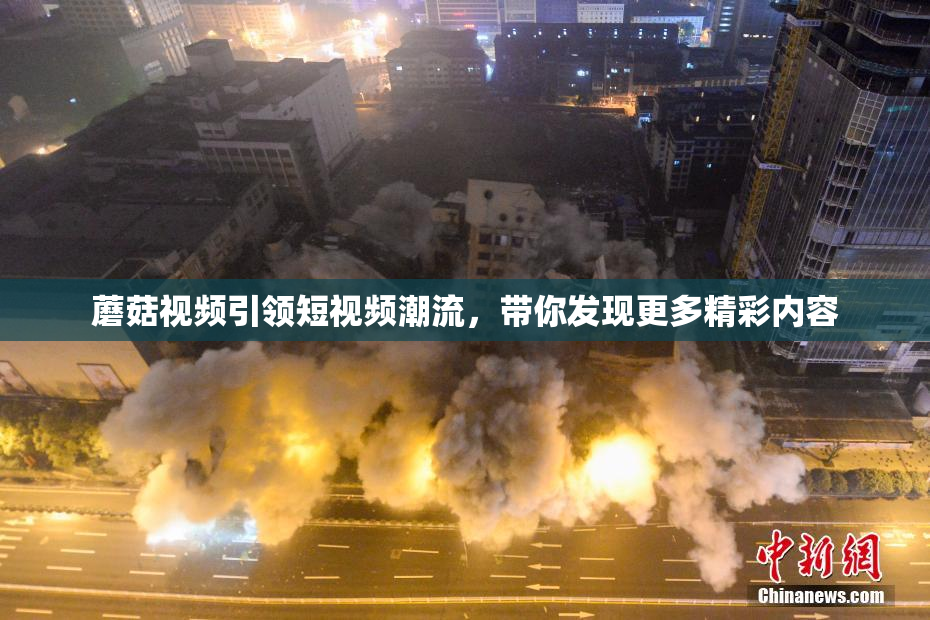 蘑菇视频引领短视频潮流，带你发现更多精彩内容