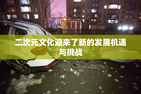 二次元文化迎来了新的发展机遇与挑战