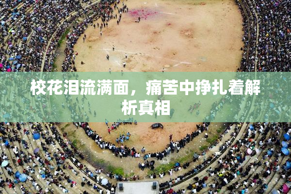 校花泪流满面，痛苦中挣扎着解析真相