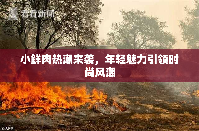 小鲜肉热潮来袭，年轻魅力引领时尚风潮