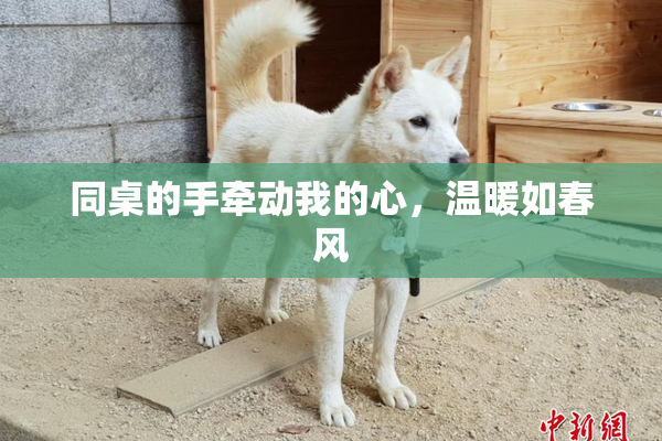同桌的手牵动我的心，温暖如春风