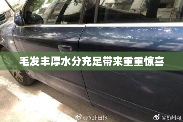 毛发丰厚水分充足带来重重惊喜