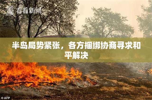 半岛局势紧张，各方捆绑协商寻求和平解决