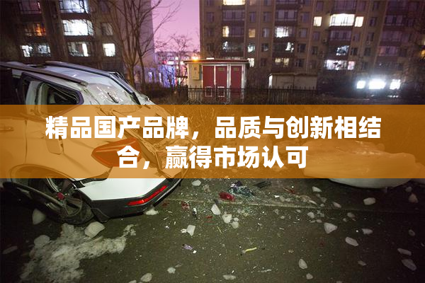 精品国产品牌，品质与创新相结合，赢得市场认可