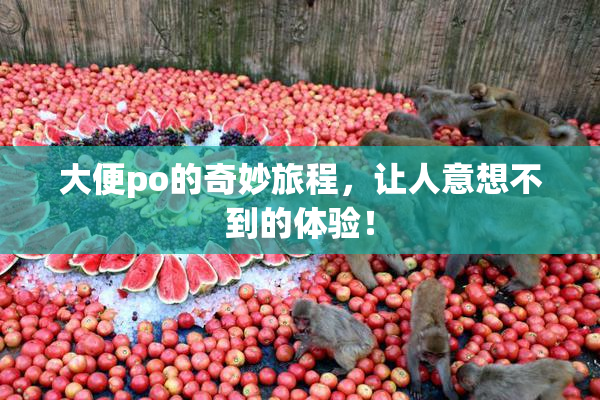 大便po的奇妙旅程，让人意想不到的体验！