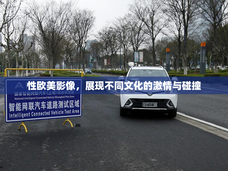 性欧美影像，展现不同文化的激情与碰撞
