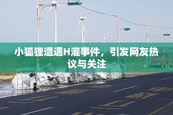 小狐狸遭遇H灌事件，引发网友热议与关注