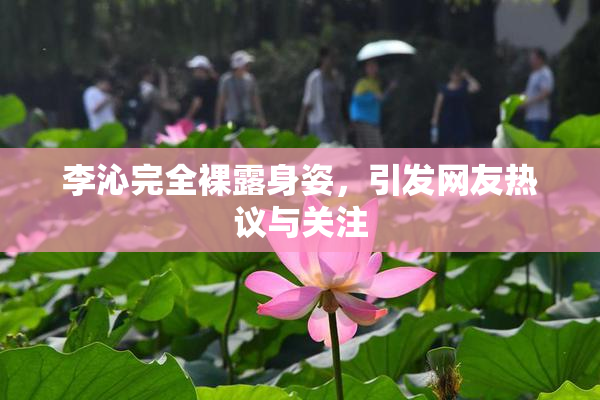 李沁完全裸露身姿，引发网友热议与关注