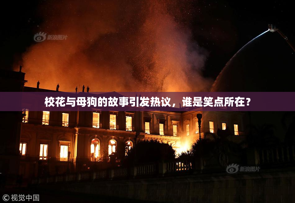 校花与母狗的故事引发热议，谁是笑点所在？