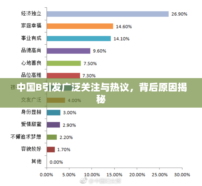 中国B引发广泛关注与热议，背后原因揭秘