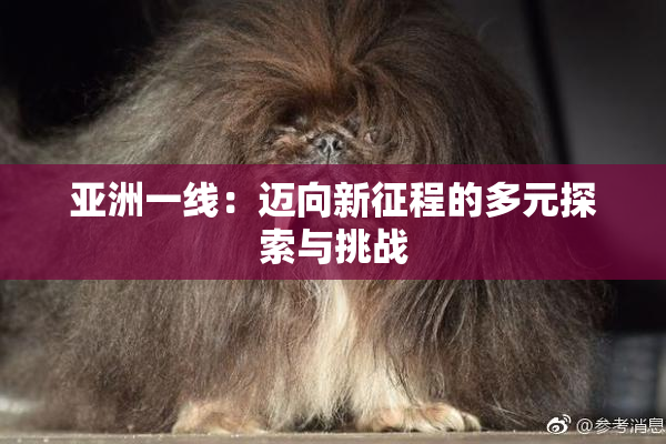 亚洲一线：迈向新征程的多元探索与挑战