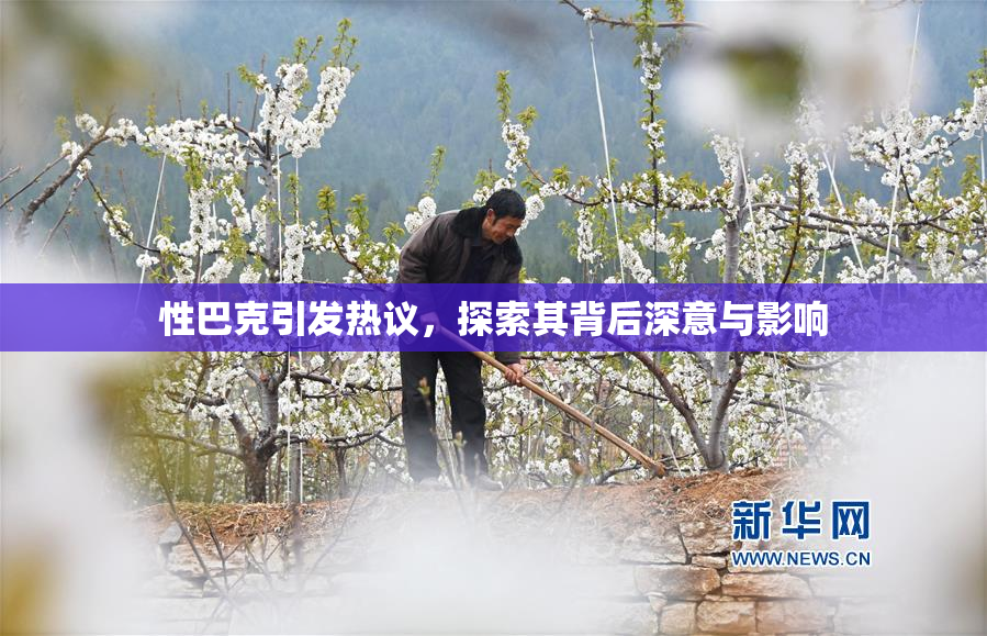 性巴克引发热议，探索其背后深意与影响